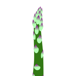【FREE Vector】Asparagus Spear Illustration (Green Asparagus / Spring-Summer Vegetable) (Outline / No Outline) (Commercial Use OK / PNG Transparent)