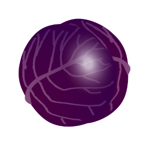 【FREE Vector】Purple Cabbage / Red Cabbage Illustration (Leafy Vegetable / Healthy Food) (Outline / No Outline) (Commercial Use OK / PNG Transparent)