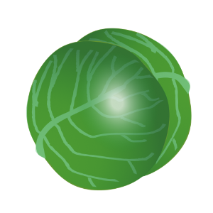 【FREE Vector】Green Cabbage Illustration (Leafy Vegetable / Round Head / Brassica) (Outline / No Outline) (Commercial Use OK / PNG Transparent)