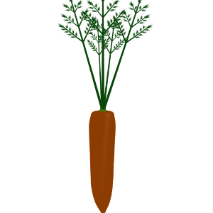葉付きニンジン