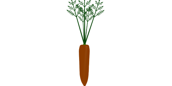 【フリー素材】葉付きニンジン（人参/根菜/β-カロテン）のイラスト（線なし・黒縁）(商用利用可・透過PNG)