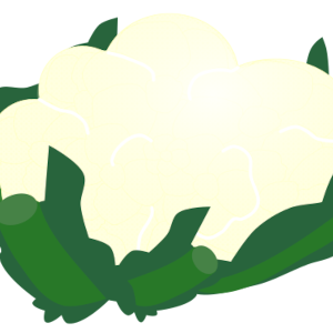 【FREE Vector】Cauliflower Illustration (White Head / Brassica oleracea / Winter Vegetable) (Commercial Use OK / PNG Transparent)