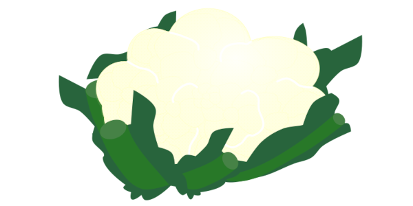 【フリー素材】カリフラワー（花椰菜/白い冬野菜/ブロッコリーの仲間）のイラスト（線なし・黒縁）(商用利用可・透過PNG)