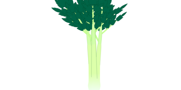 【フリー素材】葉付きセロリ（茎/香味野菜/シャキシャキ食感）のイラスト（線なし・黒縁）(商用利用可・透過PNG)