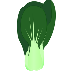【FREE Vector】Bok Choy / Chingensai Illustration (Chinese Cabbage / Stir-fry Vegetable) (Outline / No Outline) (Commercial Use OK / PNG Transparent)