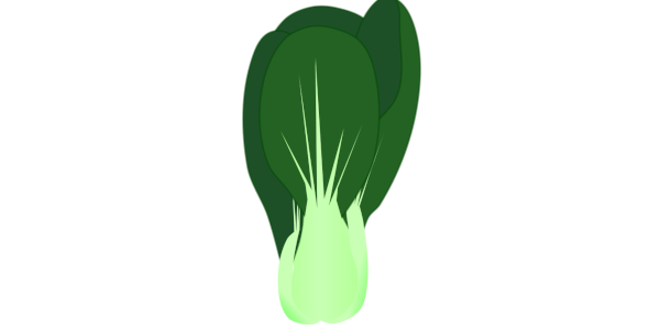 【フリー素材】チンゲンサイ（青梗菜/中国野菜/炒め物/葉物野菜）のイラスト（線なし・黒縁）(商用利用可・透過PNG)