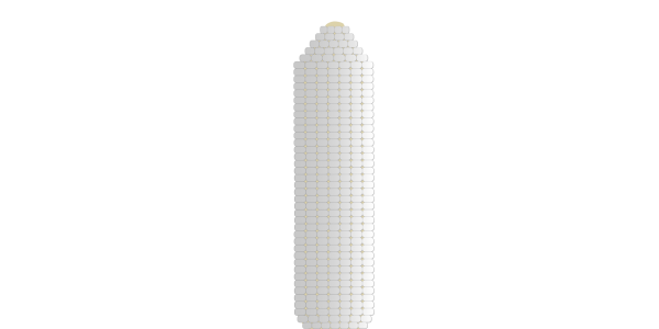 【FREE Vector】Shucked White Corn on the Cob Illustration (Pure White / Sweet Corn / Kernel) (Outline / No Outline) (Commercial Use OK / PNG Transparent)