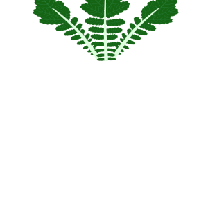 【FREE Vector】Spicy Daikon Radish Illustration (Karami Daikon / Japanese Horseradish Substitute / Condiment) (Outline / Colored Leaf) (Commercial Use OK / PNG Transparent)