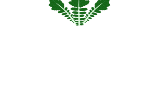 【フリー素材】辛味大根（葉付き/強い辛味/和食の薬味）のイラスト（線画・色付き）(商用利用可・透過PNG)