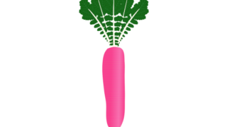 【フリー素材】レディサラダ（赤大根/紅しぐれ大根/葉付き）のイラスト（線なし・黒縁）(商用利用可・透過PNG)