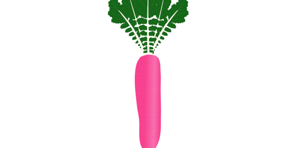 【フリー素材】レディサラダ（赤大根/紅しぐれ大根/葉付き）のイラスト（線なし・黒縁）(商用利用可・透過PNG)