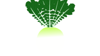 【フリー素材】聖護院大根（京野菜/丸い大根/冬の野菜/葉付き）のイラスト（線なし・黒縁）(商用利用可・透過PNG)