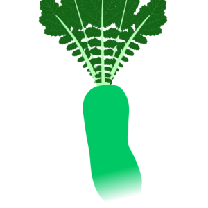 【FREE Vector】Green Daikon Radish Illustration (Vitamin Radish / Green Root / Leafy) (Outline / No Outline) (Commercial Use OK / PNG Transparent)