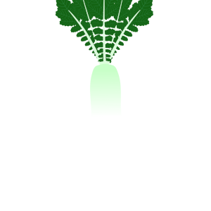 【FREE Vector】Green-Neck Radish Illustration (Root Vegetable / Daikon Radish / Leafy Top) (Outline / No Outline) (Commercial Use OK / PNG Transparent)