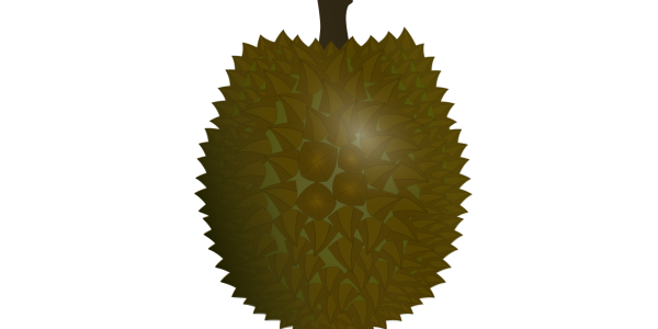 【FREE Vector】Durian Fruit Illustration (King of Fruits / Tropical Spiky Fruit / Strong Odor) (Commercial Use OK / PNG Transparent)