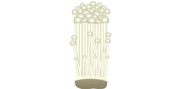 【フリー素材】エノキタケ（榎茸/えのき/細長いキノコ/鍋食材）のイラスト(商用利用可・透過PNG)