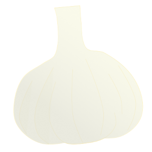 【FREE Vector】Garlic Bulb Illustration (Allium sativum / Spice / Condiment) (Commercial Use OK / PNG Transparent)