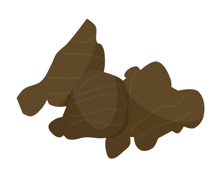 ショウガ(生姜)のイラスト(光沢・陰影なし・シンプルな薬味や香辛料の解説資料用透過PNG)