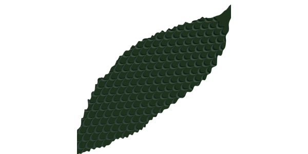 【フリー素材】緑のゴーヤ（にがうり/苦瓜/夏野菜/ウリ科）のイラスト（線なし・黒縁）(商用利用可・透過PNG)