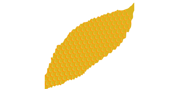 【フリー素材】完熟した黄色いゴーヤ（苦瓜/夏野菜/果物化）のイラスト（線なし・黒縁）(商用利用可・透過PNG)