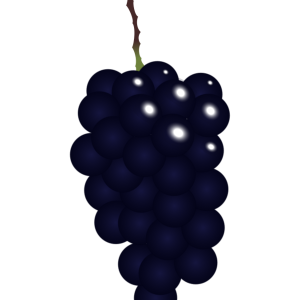 【FREE Vector】Kyoho Grape Illustration (Large Black Grapes / Japanese Premium Fruit / Autumn Fruit) (Commercial Use OK / PNG Transparent)
