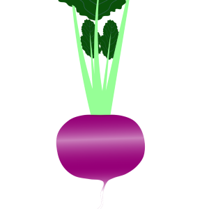 【FREE Vector】Red Turnip Illustration (Beni Kabu / Red Kabu / Leafy Root Vegetable) (Outline / No Outline) (Commercial Use OK / PNG Transparent)