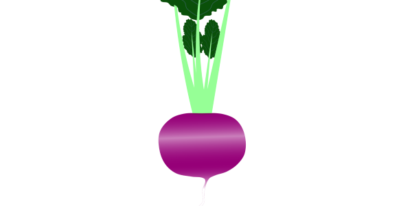 【FREE Vector】Red Turnip Illustration (Beni Kabu / Red Kabu / Leafy Root Vegetable) (Outline / No Outline) (Commercial Use OK / PNG Transparent)