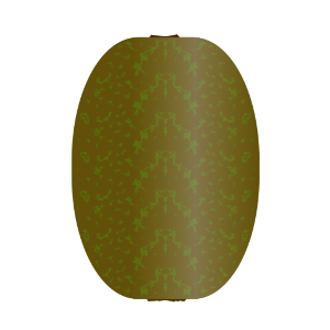 【FREE Vector】Kiwi Fruit Illustration (Brown Furry Skin / High Vitamin C / Healthy Fruit) (Commercial Use OK / PNG Transparent)