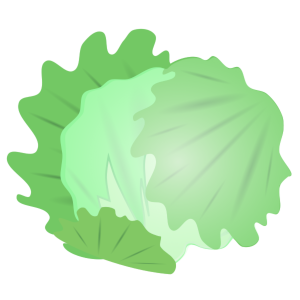 【FREE Vector】Iceberg Lettuce Illustration (Head Lettuce / Salad Greens / Crisp Vegetable) (Commercial Use OK / PNG Transparent)