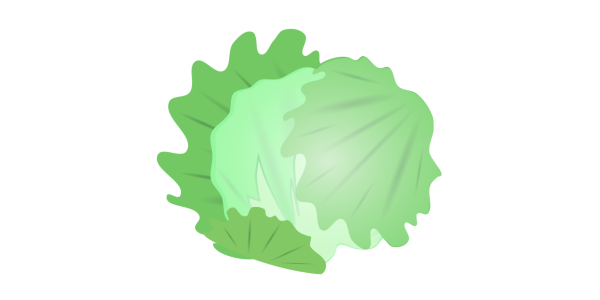 【フリー素材】玉レタス（球レタス/結球レタス/サラダ野菜）のイラスト（線なし・黒縁）(商用利用可・透過PNG)
