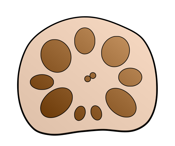 レンコンの断面のイラスト(黒い縁取りあり・野菜や食育資料の図解用透過PNG)