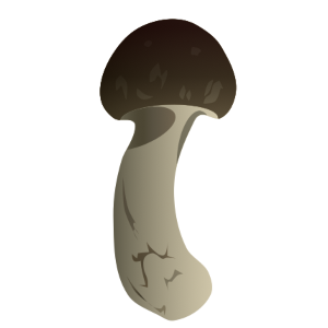 【フリー素材】マツタケ（松茸/秋の味覚/高級食材/キノコ）のイラスト（線なし）(商用利用可・透過PNG)