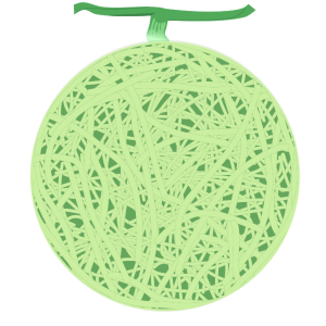 【フリー素材】ネットメロン（網目メロン/高級フルーツ/夏の果物）のイラスト（線なし・黒縁）(商用利用可・透過PNG)