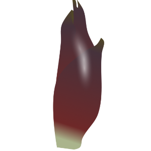 【FREE Vector】Myoga Ginger Illustration (Japanese Ginger / Edible Flower Bud / Condiment) (Commercial Use OK / PNG Transparent)