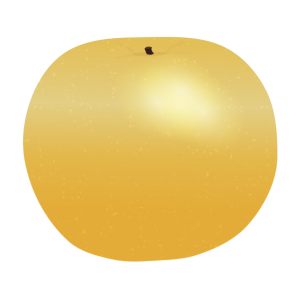 【FREE Vector】Japanese Pear (Nashi / Yellow Nashi / Autumn Fruit) Illustration (Crisp Texture / Sweetness) (Commercial Use OK / PNG Transparent)