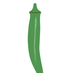 【FREE Vector】Round Okra Illustration (Five-Angled Okra / Summer Vegetable / Hibiscus) (Outline / No Outline) (Commercial Use OK / PNG Transparent)