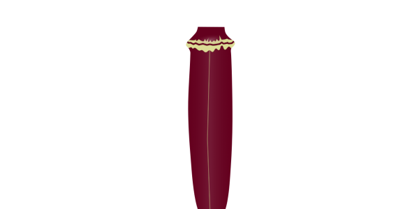 【FREE Vector】Red Okra Illustration (Red Lady Finger / Summer Vegetable / Hibiscus) (Outline / No Outline) (Commercial Use OK / PNG Transparent)