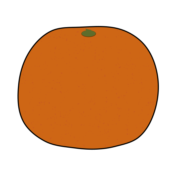 Orange fruit illustration (Black outline, PNG Transparent for fruit guides and food education diagrams)