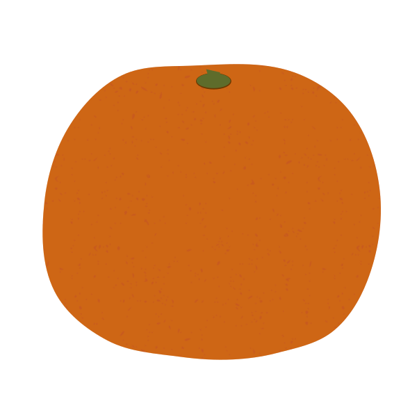 Orange fruit illustration (No gloss or shading, PNG Transparent for simple citrus fruit diagrams)
