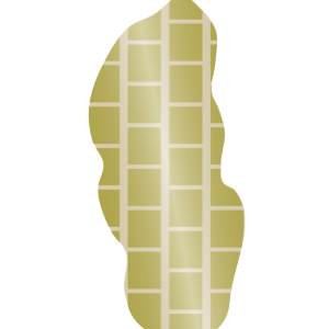 【フリー素材】3粒入った落花生（ピーナッツ/ラッカセイ/豆類）のイラスト（線なし・黒縁）(商用利用可・透過PNG)