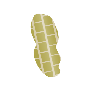 【FREE Vector】Peanut Pod Illustration (Two Kernels / Groundnut / Legume Nut) (Outline / No Outline) (Commercial Use OK / PNG Transparent)
