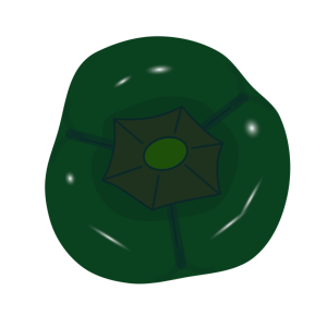 【FREE Vector】Green Bell Pepper Illustration (Top View / Cross Section / Summer Vegetable) (Outline / No Outline) (Commercial Use OK / PNG Transparent)
