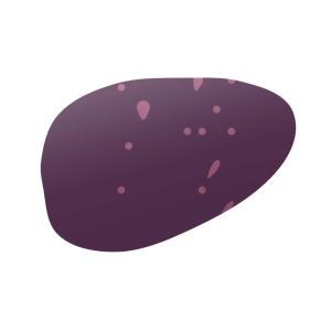 【FREE Vector】Kitamurasaki Purple Potato Illustration (Purple Sweet Potato / High Anthocyanin / Healthy Vegetable) (Outline / No Outline) (Commercial Use OK / PNG Transparent)