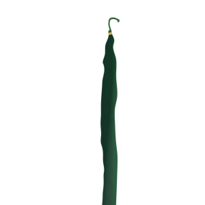 【FREE Vector】Long String Bean / Yardlong Bean (Sasage / Legume) Illustration (Outline / No Outline) (Commercial Use OK / PNG Transparent)