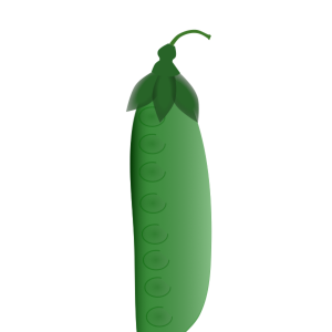 【FREE Vector】Snap Pea / Snow Pea (Kinusaya / Legume) Illustration (Outline / No Outline) (Commercial Use OK / PNG Transparent)