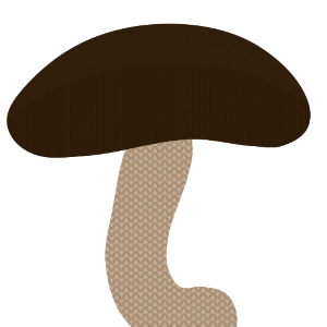 【FREE Vector】Shiitake Mushroom Illustration (Japanese Mushroom / Edible Fungi / Cooking Ingredient) (Commercial Use OK / PNG Transparent)