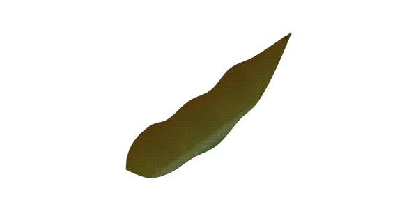 【FREE Vector】3-Bean Hairy Soybean Pod Illustration (Edamame / Summer Vegetable / Furry Pod) (Outline / No Outline) (Commercial Use OK / PNG Transparent)