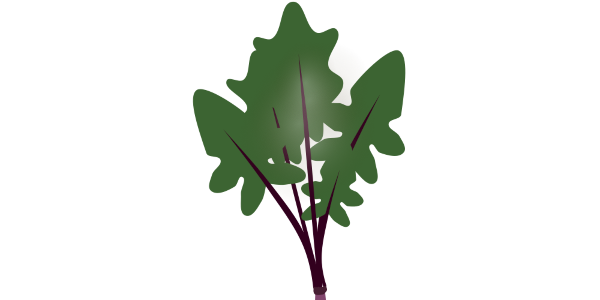 【FREE Vector】Red-Stemmed Spinach Illustration (Red Spinach / Leafy Green / Winter Vegetable) (Outline / No Outline) (Commercial Use OK / PNG Transparent)