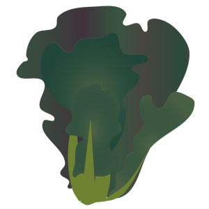 【FREE Vector】Takana Mustard Greens Illustration (Leafy Vegetable / Japanese Pickle / Brassicaceae) (Outline / No Outline) (Commercial Use OK / PNG Transparent)
