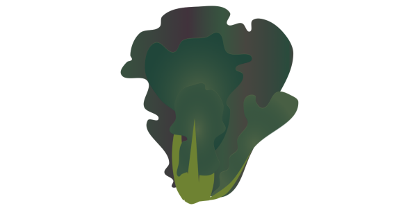 【FREE Vector】Takana Mustard Greens Illustration (Leafy Vegetable / Japanese Pickle / Brassicaceae) (Outline / No Outline) (Commercial Use OK / PNG Transparent)